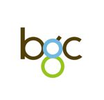 BGC Group Pte Ltd